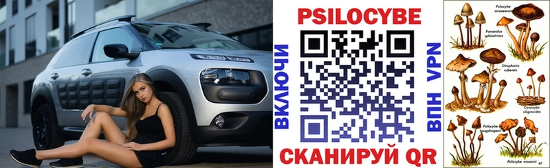 Купить  Вязьма  Галлюциногенные грибы прущие грибы 